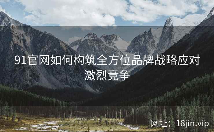 91官网如何构筑全方位品牌战略应对激烈竞争