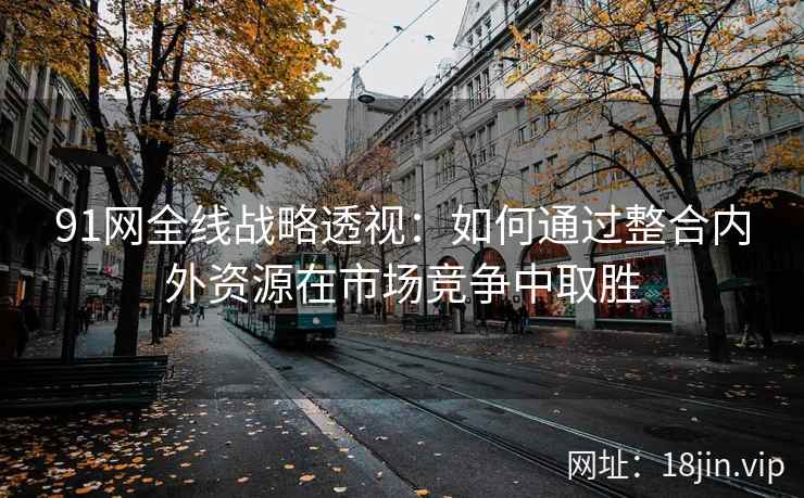 91网全线战略透视：如何通过整合内外资源在市场竞争中取胜