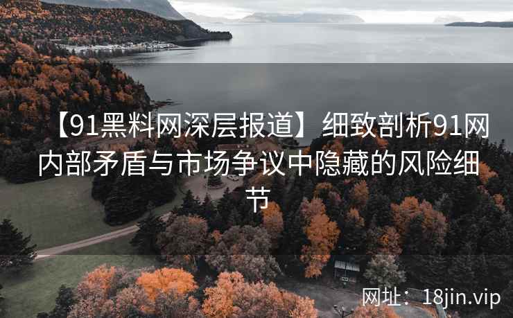【91黑料网深层报道】细致剖析91网内部矛盾与市场争议中隐藏的风险细节