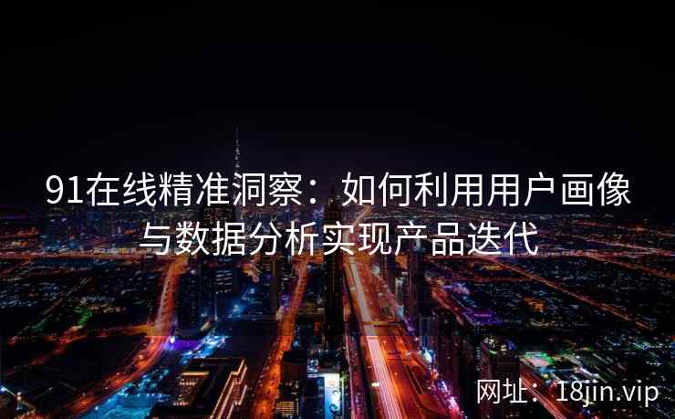 91在线精准洞察：如何利用用户画像与数据分析实现产品迭代