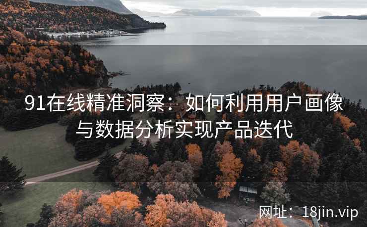 91在线精准洞察：如何利用用户画像与数据分析实现产品迭代