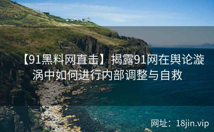 【91黑料网直击】揭露91网在舆论漩涡中如何进行内部调整与自救