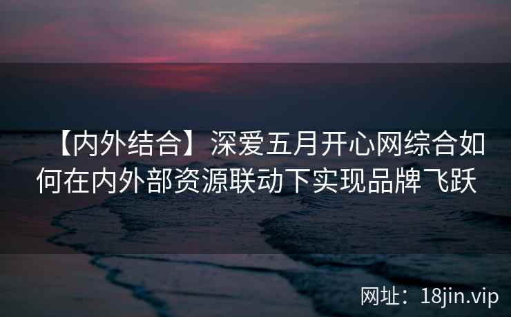【内外结合】深爱五月开心网综合如何在内外部资源联动下实现品牌飞跃