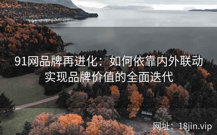 91网品牌再进化：如何依靠内外联动实现品牌价值的全面迭代