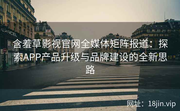 含羞草影视官网全媒体矩阵报道：探索APP产品升级与品牌建设的全新思路