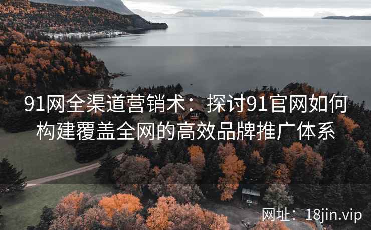 91网全渠道营销术：探讨91官网如何构建覆盖全网的高效品牌推广体系