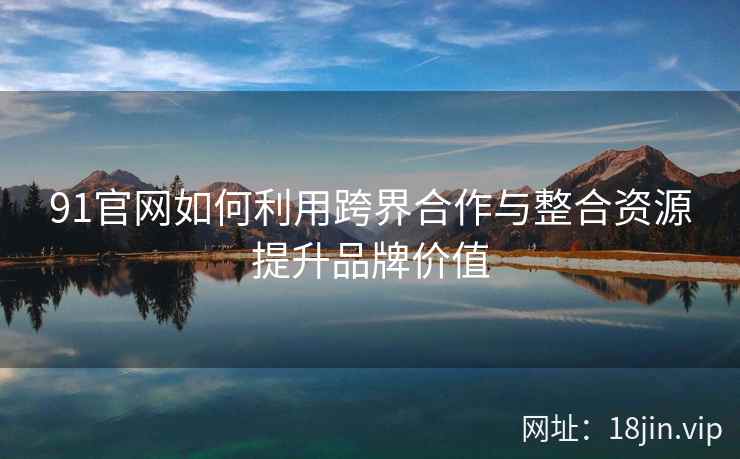91官网如何利用跨界合作与整合资源提升品牌价值