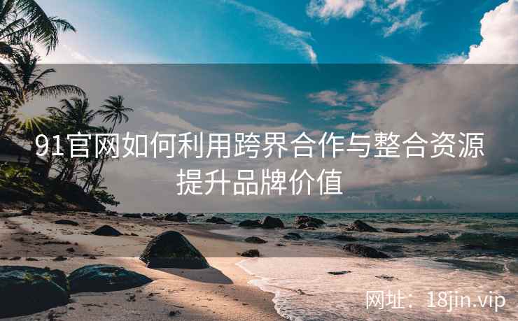 91官网如何利用跨界合作与整合资源提升品牌价值
