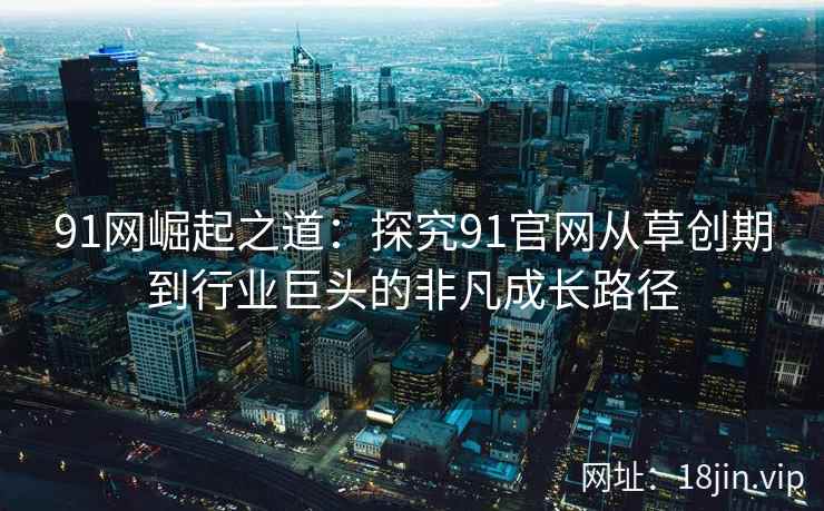 91网崛起之道：探究91官网从草创期到行业巨头的非凡成长路径