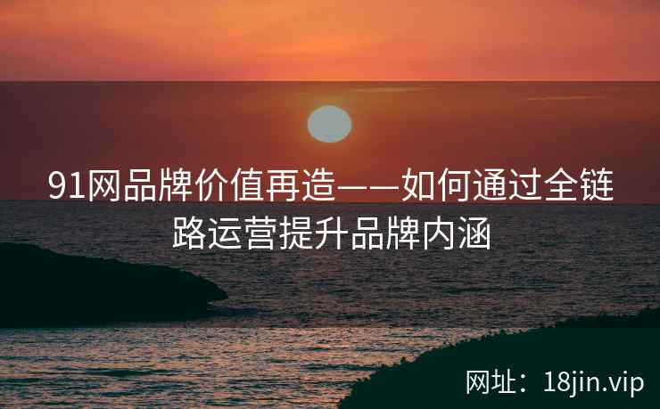 91网品牌价值再造——如何通过全链路运营提升品牌内涵