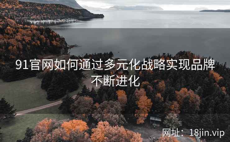 91官网如何通过多元化战略实现品牌不断进化