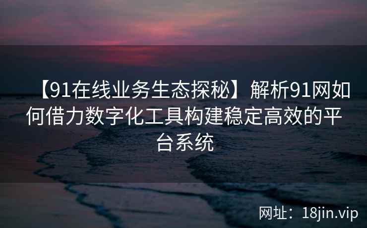【91在线业务生态探秘】解析91网如何借力数字化工具构建稳定高效的平台系统